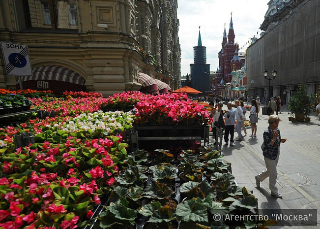 россия, москва, гум, цветы, фестиваль