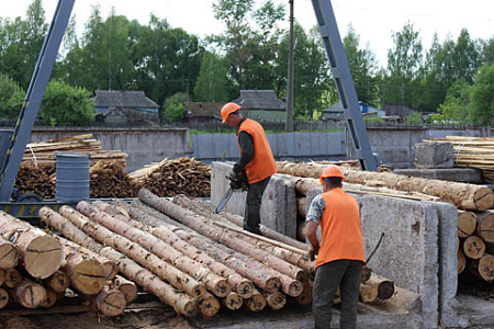 украина, европа, евросоюз, европарламент, транш, рабинович, лес