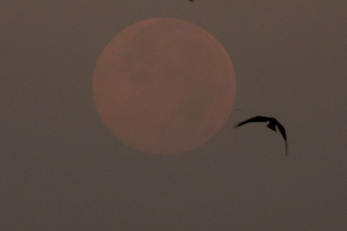 луна, суперлуние, холодная луна