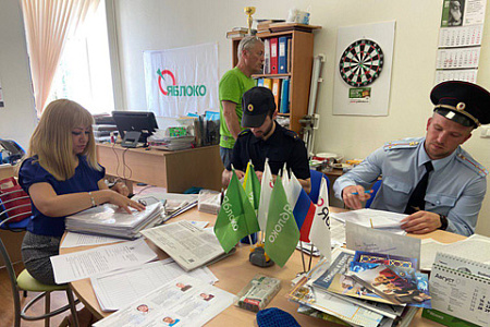 партия яблоко, агитационная кампания, великий новгород, суд, пикеты, запрет