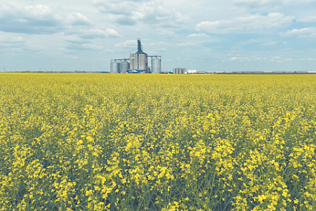 канада, п ремьер, новый мировой порядок, сотрудничество, соглашения с китаем, тарифный шантаж трампа, вторичные санкции