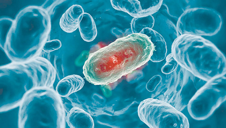 биология, микробиология, технологии, микробиом