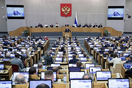 компания по выборам в госдуму, едг, суть политической деятельности, депутат, профессия, биография, личные качества