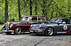 IMG_25393465.jpg