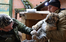В столичном зоопарке появились новые питомцы