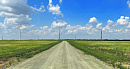 <b>Ветроэнергетика</b> не заметила пандемию