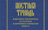 Литургический уголек, который греет