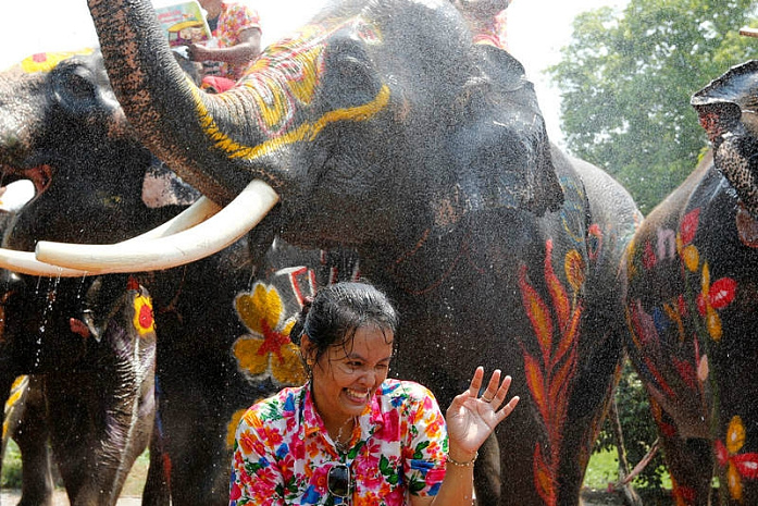люди, слоны, таиланд, вода, новый год