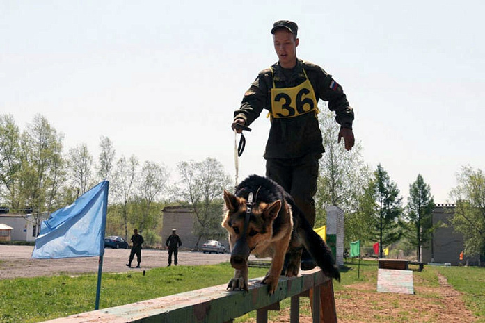 россия, армия, армейские игры