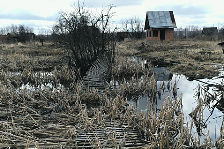 росреестр, законопроект, заброшенные участки, реестровые ошибки