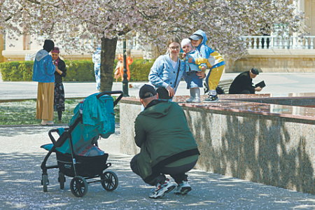 матери оличноки, детские пособия, переоценка размеров алиментов, фиктивные разводы, неплательщики алиментов