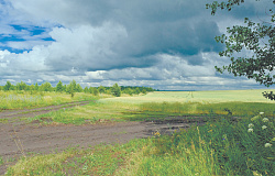 Одинаковые куклы в разных платьицах