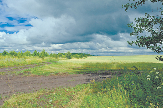 Одинаковые куклы в разных платьицах