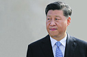 Cи Цзиньпин изгоняет из партии диссидентов и казнокрадов