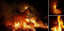 В Испании коней очистили огнем
