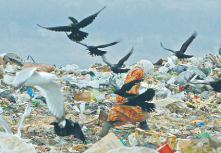 госдума, защита окружающей среды, свалки, мусорные полигоны, мусорная реформа