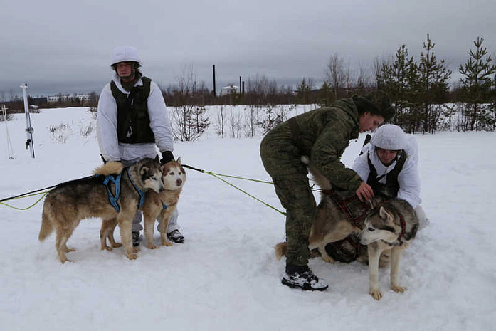 россия, армия, северный флот, хаски