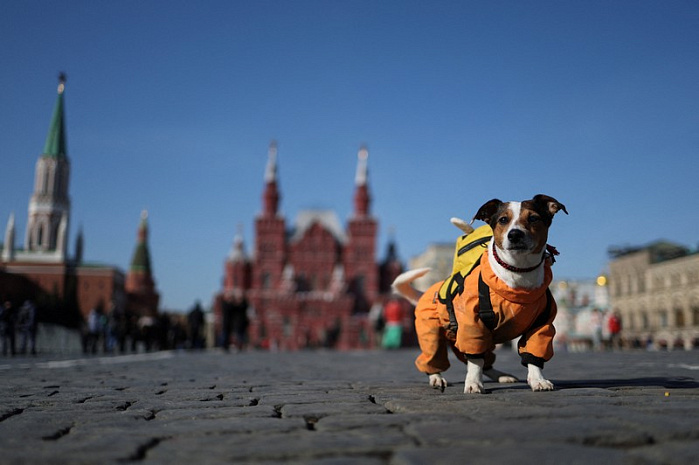 россия, москва, погода, весна, тепло