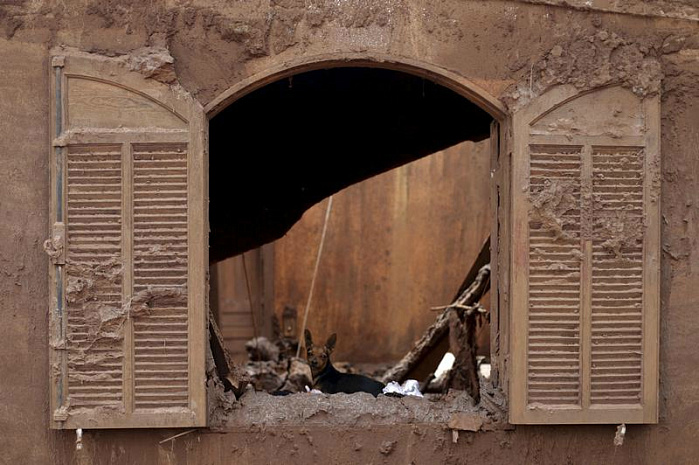 бразилия, экология, протест, катастрофа