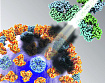 Биотехнологии пытаются подобрать к <b>ВИЧ</b> и гриппу новые антитела