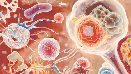 биология, генетика