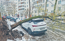 Фото недели. Рекордный апрельский снегопад в Москве