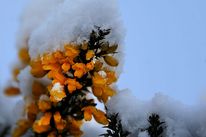 новая зеландия, зима, снег
