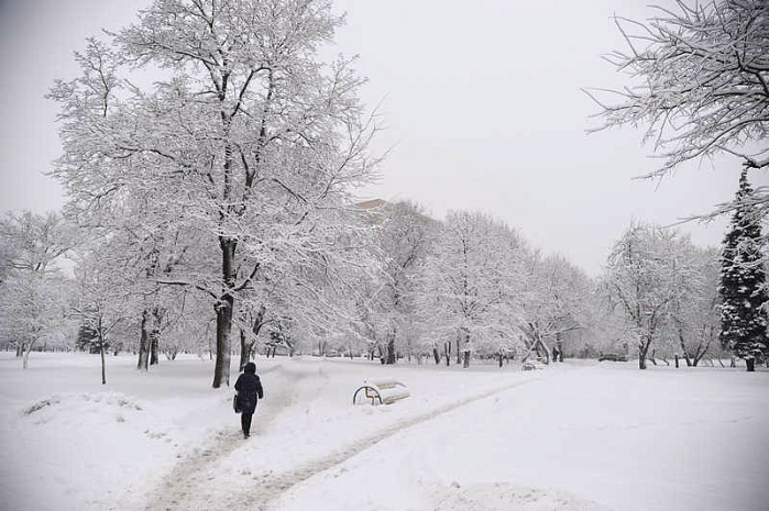 москва, снегопад