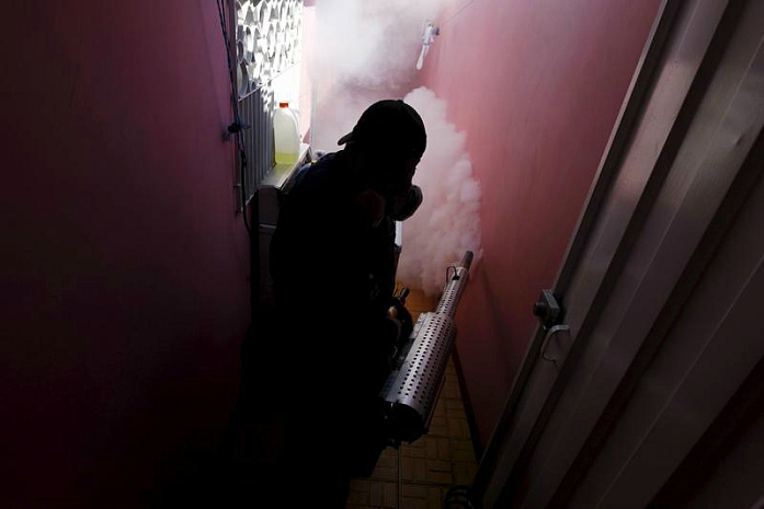 вирус, лихорадка зика, болезнь, младенцы