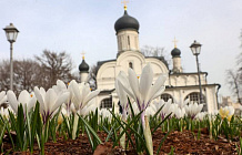 Первоцветы раскрасили 