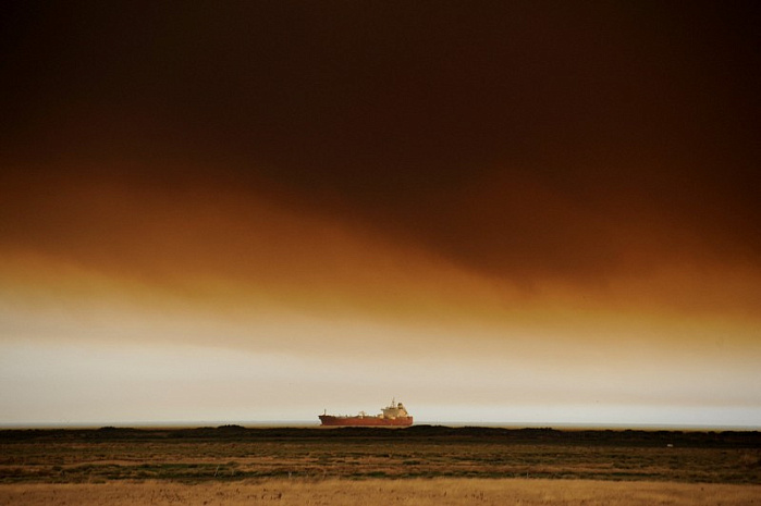 чили, лес, пожары