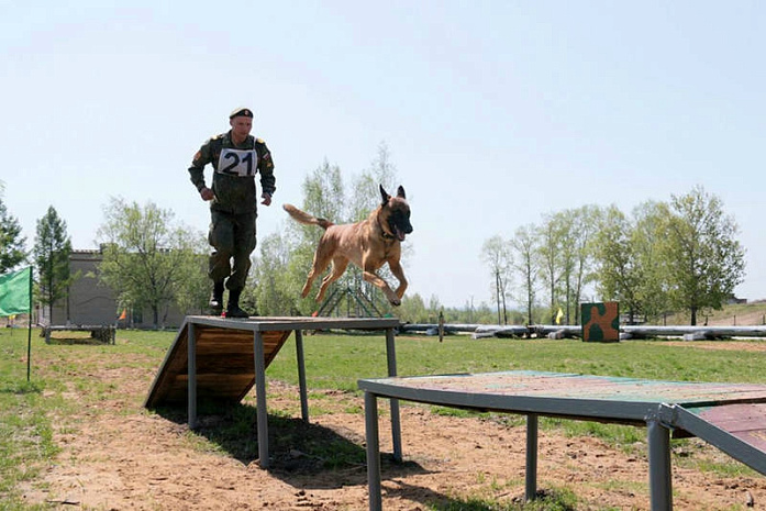 россия, армия, армейские игры