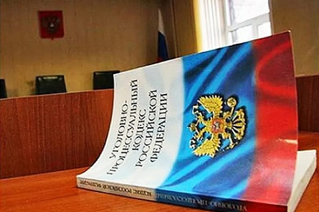 закон, суд, конституция, упк, следствие, дело сафронова