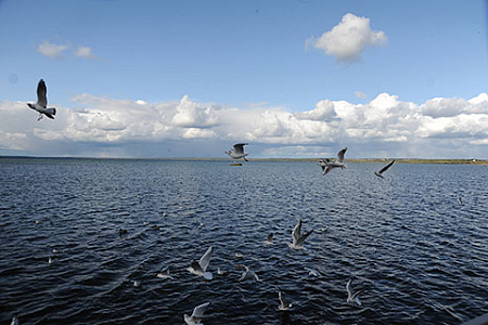 ярославская дума, депутат, сергей хабибулин, курьез, вода
