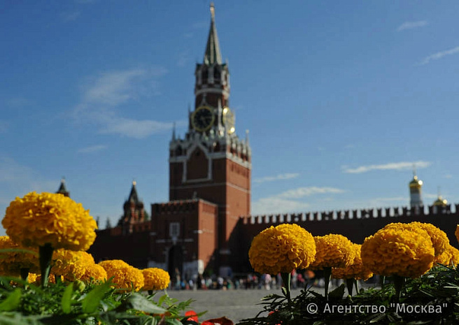 россия, москва, гум, цветы, фестиваль
