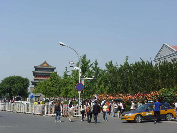 китай, пекин, цветы, весна