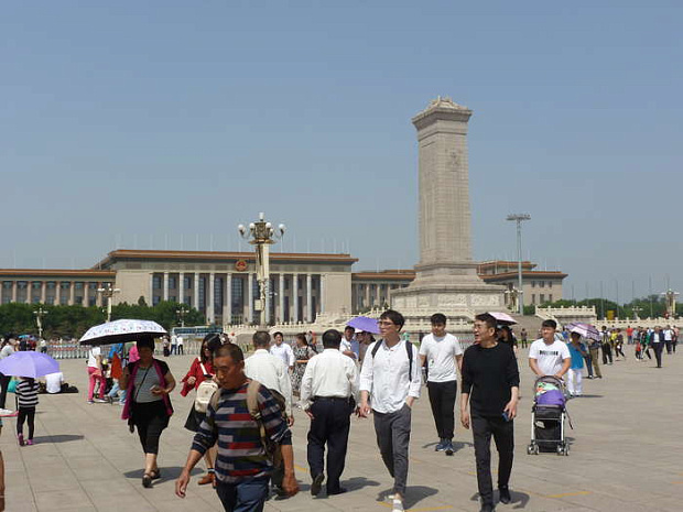 китай, пекин, цветы, весна