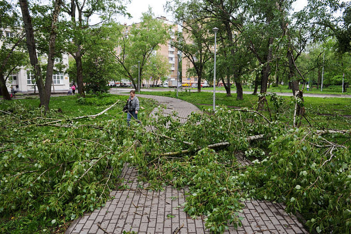 москва, стихия, ураган