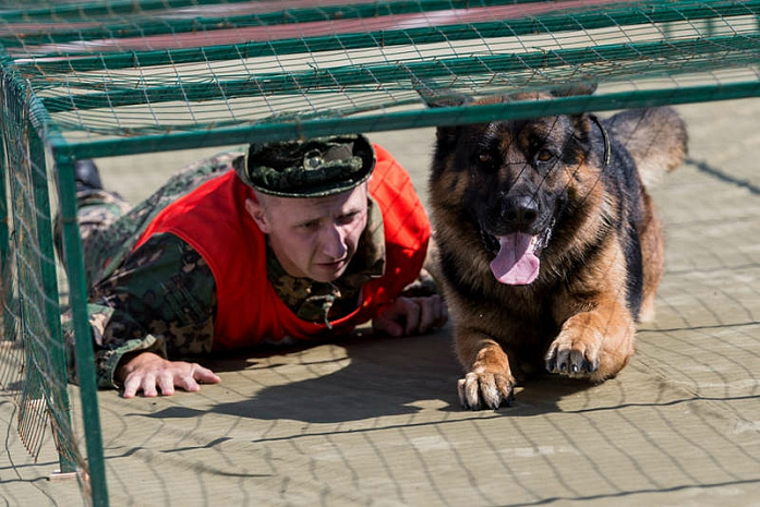 россия, армия, армейские игры