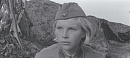 Волчий хвост идет в наступление