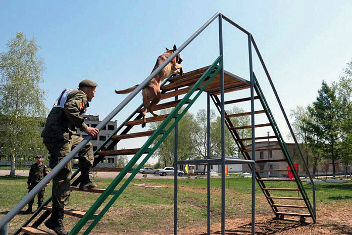 россия, армия, армейские игры