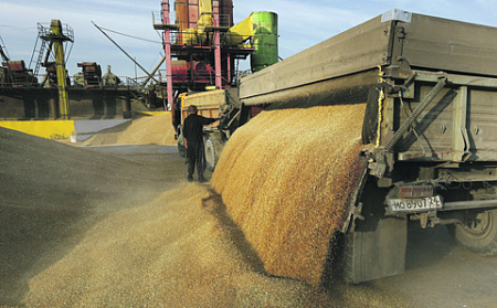 минсельхоз, экспорт, пшеница, инфляция