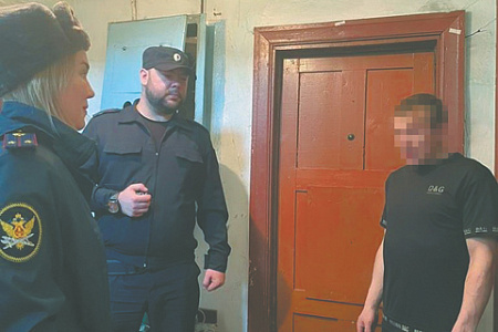 правосудие, судимость, досрочное снятие, автоматическое погашение, экспертное мнение