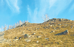 Выше облаков