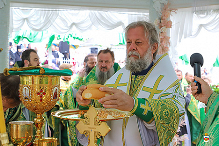 рпц, молдавия, кишиневская митрополия, румынский патриархат, бессарабская митрополия, петру пэдурару, майя санду, владимир кантарян